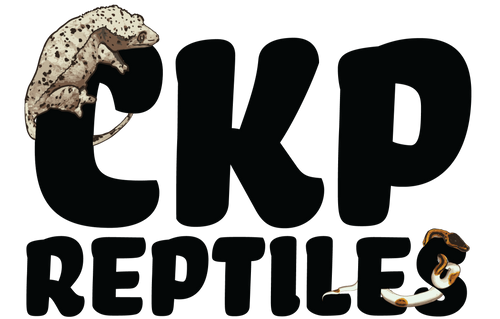 CKP Reptiles